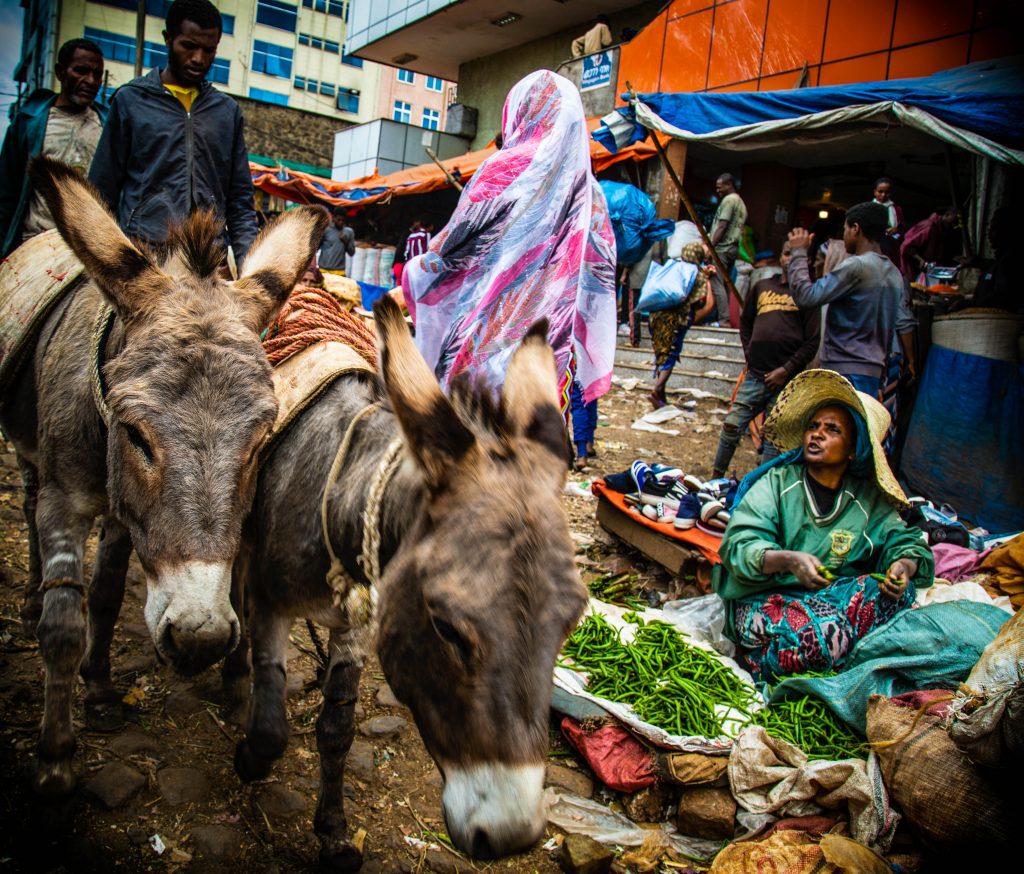 Animals as transport at a market in Addis Ababa