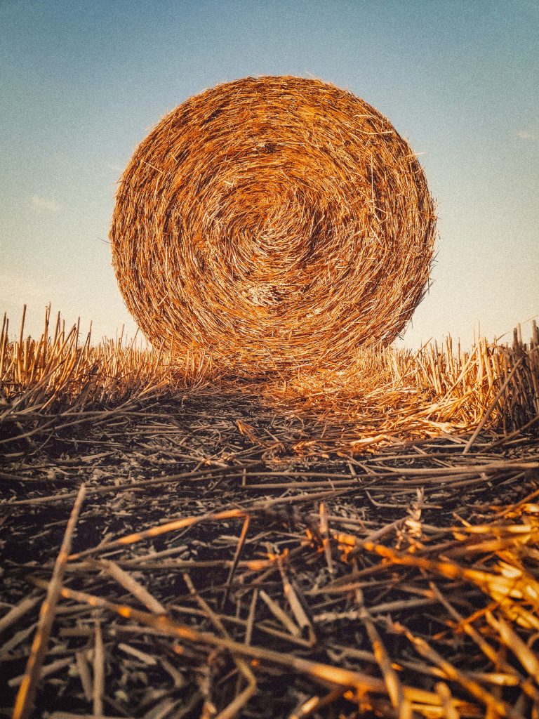 natural material - straw bale
