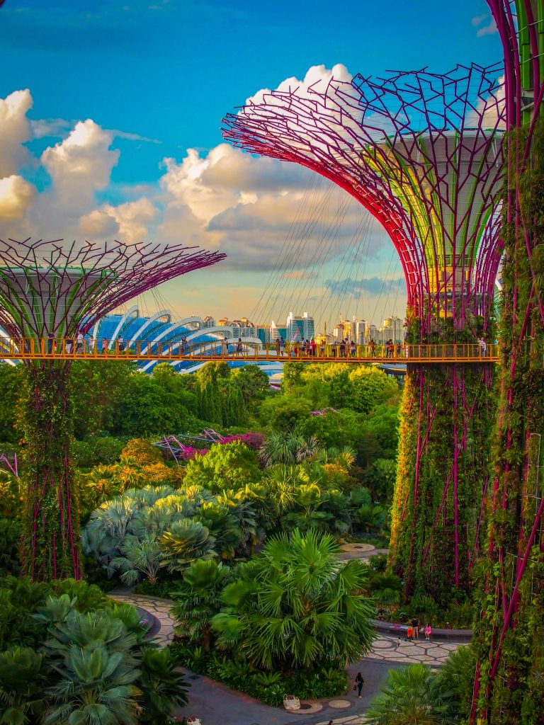 Singapore Gardens by the Bay Supertrees