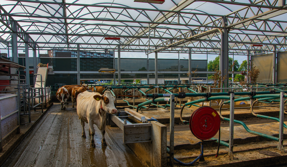 Floating farm - CityChangers.org