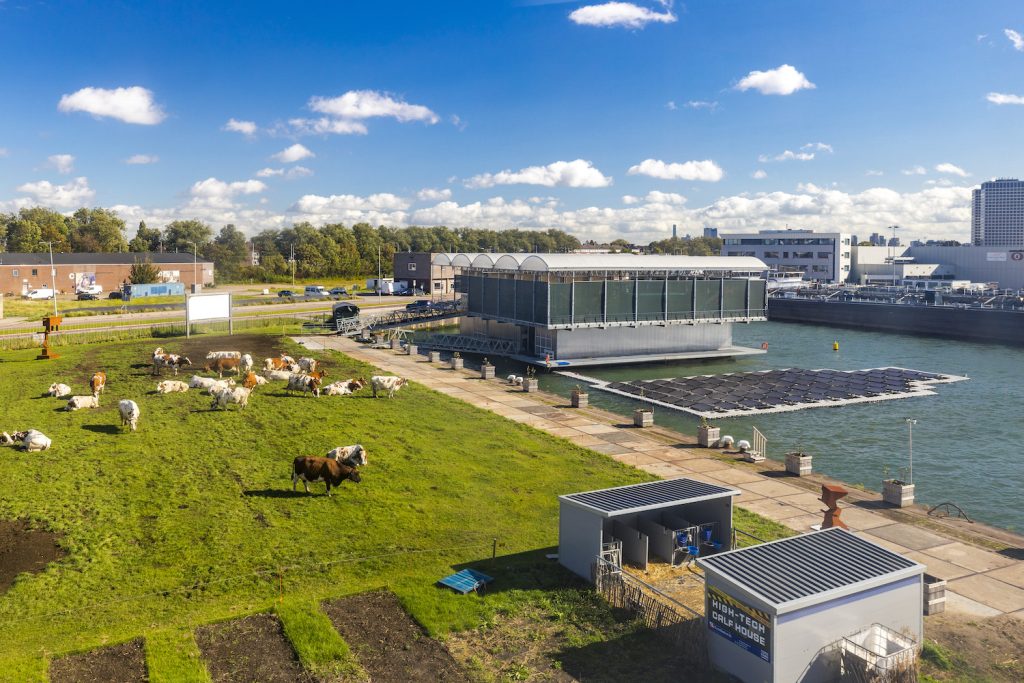 Floating farm - CityChangers.org