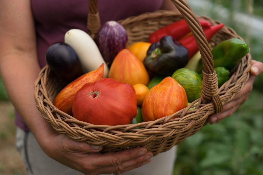 Community supported agriculture Jaklhof - CityChangers.org