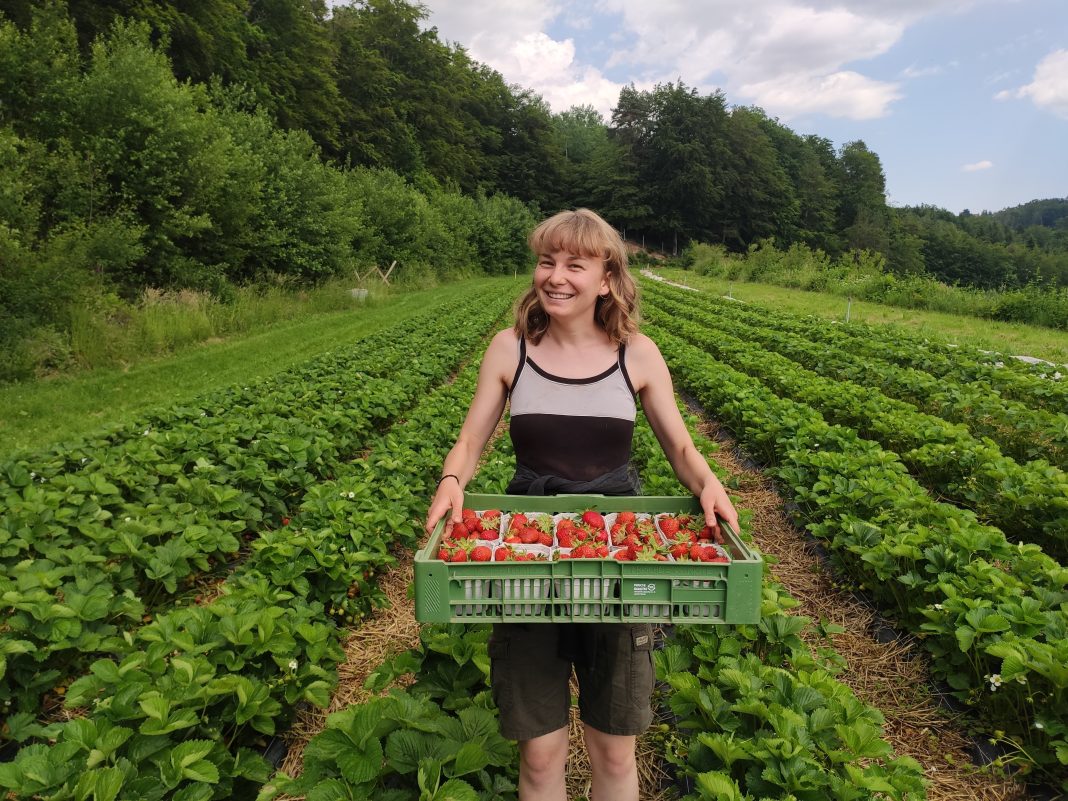 Community supported agriculture Jaklhof - CityChangers.org