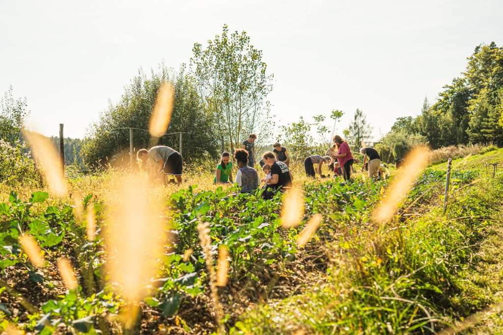 Community supported agriculture Jaklhof - CityChangers.org